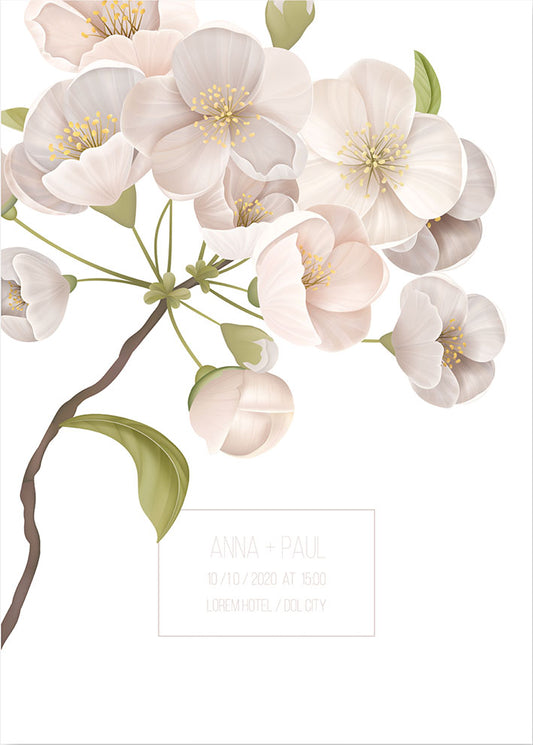 Floral fondo blanco